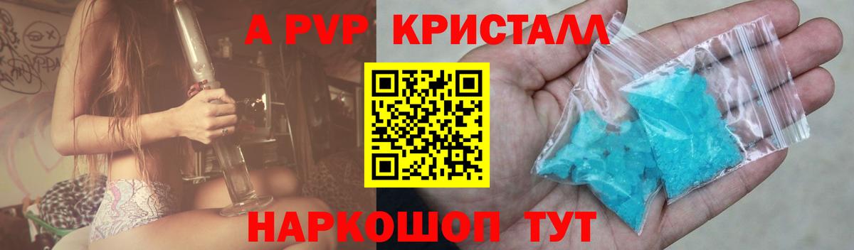 Елизово  A PVP СК  Вход с VPN  Альфа ПВП крисы CK 